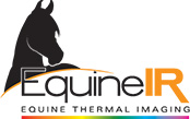 Equine Thermography